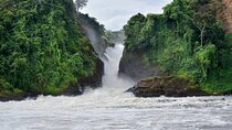 Magical Murchison Falls National Park Safari With Globetrotters Africa