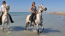 Adventure Safari By Horse In Sharm El Sheikh