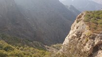 Jabal Akhdar Hike, Nizwa Fort, Souq - Private Tour from Muscat