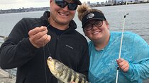 Pier Fishing Tour - San Diego