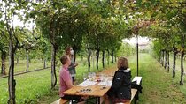  Full Day Wine Tour and Tasting in the Prosecco Region