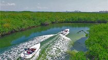 Individual Jungle Tour - Speed Boat at Nichupte Lagoon & Snorkel