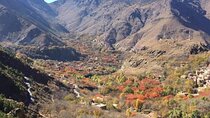 3 Days in Atlas Mountains & waterfall and Berber culture 