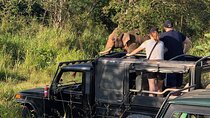 Hurulu Eco Park Half Day Jeep Safari in Minneriya and Kaudulla