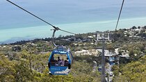 Mornington Peninsula Tour inc chairlift,beach boxes,lunch,choc tasting and more