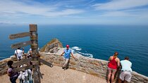 Private Full Day Tour To Cape Point, Penguins With Table Mountain.