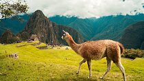Sacred Valley Machu Picchu Tour (2 Days)