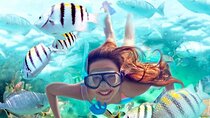 Full-Day ATV + 4 Ziplines + Cenote Swim + Yalkú Snorkeling