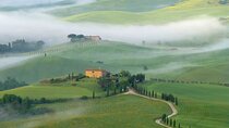Full Day PRIVATE Guided Tour in Val D'Orcia Region