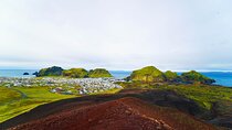 Vestmannaeyjar Private Day Tour