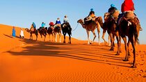 4-Day Merzouga Desert Private Tour from Marrakech