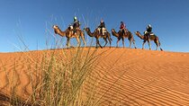 4-Day Sahara Desert Private Tour from Fes to Marrakech via Merzouga