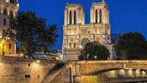 Private illumination Tour in Paris with Indian Dinner hotel Pickup 