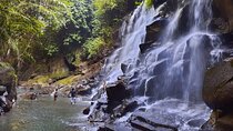 Private Waterfall Tour and Blue Lagoon Snorkeling in Padang Bai