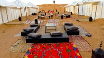 Sahara circuit 2 days and 1 night at the luxury bivouac
