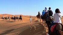  2 Days / 1 night at the Dunes of Zagora from Marrakech