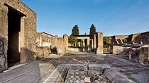 Private Pompeii Tour with lunch and Olive Oil Factory Experience