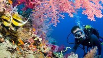 Hurghada Diving Adventure tour