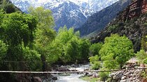  Private Day trip to ourika valley atlas mountains from marrakech 