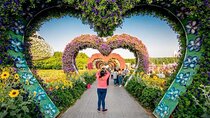 Dubai Miracle Garden and Global Village Tour 