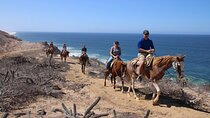 Horseback Riding Experience in Rancho San Cristobal