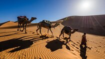 3-day Sahara Desert Trip From Marrakech 