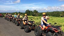 Full-Day Private Zanzibar Quad Adventure Tour