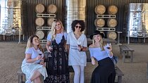 Premium Valle de Guadalupe Wine and Food Tour
