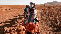 Agafay Desert-And Atlas Mountains & Camel-Trek-Day Trip From Marrakech