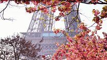 Private Photo Tour in Paris with a Professional Photographer