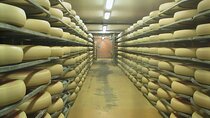 Private Trip Half Day Tour to Cheese Factory Emmentaler from Zurich 