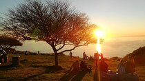 Summer Sunset Bus Tour in Cape Town