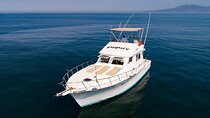 Custom 46' Boat in Puerto & Nuevo Vallarta
