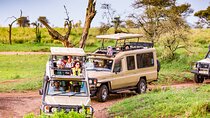5 Days Private Safari Tour & Maasai village Visit Tanzania