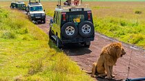 3 days Luxury Safari Tour in Tanzania