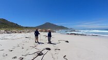 Hiking Cape of Good hope, Cape Point & Penguins Private Full Day