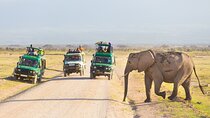 3-Day Safari to Serengeti, Ngorongoro and 1-Day Kilimanjaro Hike