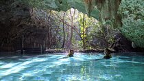 Private Guided Cenotes and Underground River Exploration
