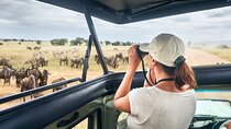 4 Days Private Lodge Safari Tour Tanzania
