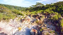 Rincon de la vieja Volcano Hike, Oropendola Waterfall, Hot Springs & Lunch Combo