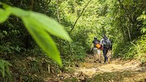 Phuket Jungle Trekking Experience at Khao Phra Taew National Park
