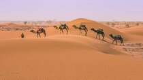 From Marrakech: 3 Days Desert Tour To Merzouga Camp & Camel Trek