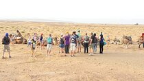 2 Days Desert Tour From Marrakech To Zagora