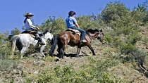 Horse-Riding to El Morado Hanging Glacier from Santiago