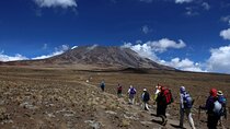 Multi-Day Tour RONGAI Route Kilimanjaro Trekking
