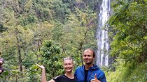Private Tour to Materuni waterfalls, coffee tour & Kikuletwa hot- springs
