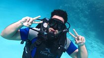Intro Diving 2 Stops For Beginners with Pick-up and Lunch - Hurghada