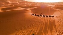 Sahara Private 3-Days Tour from Fes to Merzouga and Marrakech 