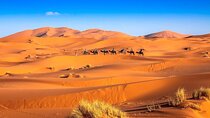 3-Day desert tour Marrakech to Fes via Merzouga