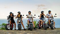 St.Lucia Beaches and Backroads Tour by Electric Big-Wheel Scooter